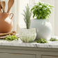 Herbs in pots on a kitchen counter with wooden utensils.
