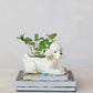 Hand-painted stoneware poodle planter with vintage reproduction design in white, brown, and black