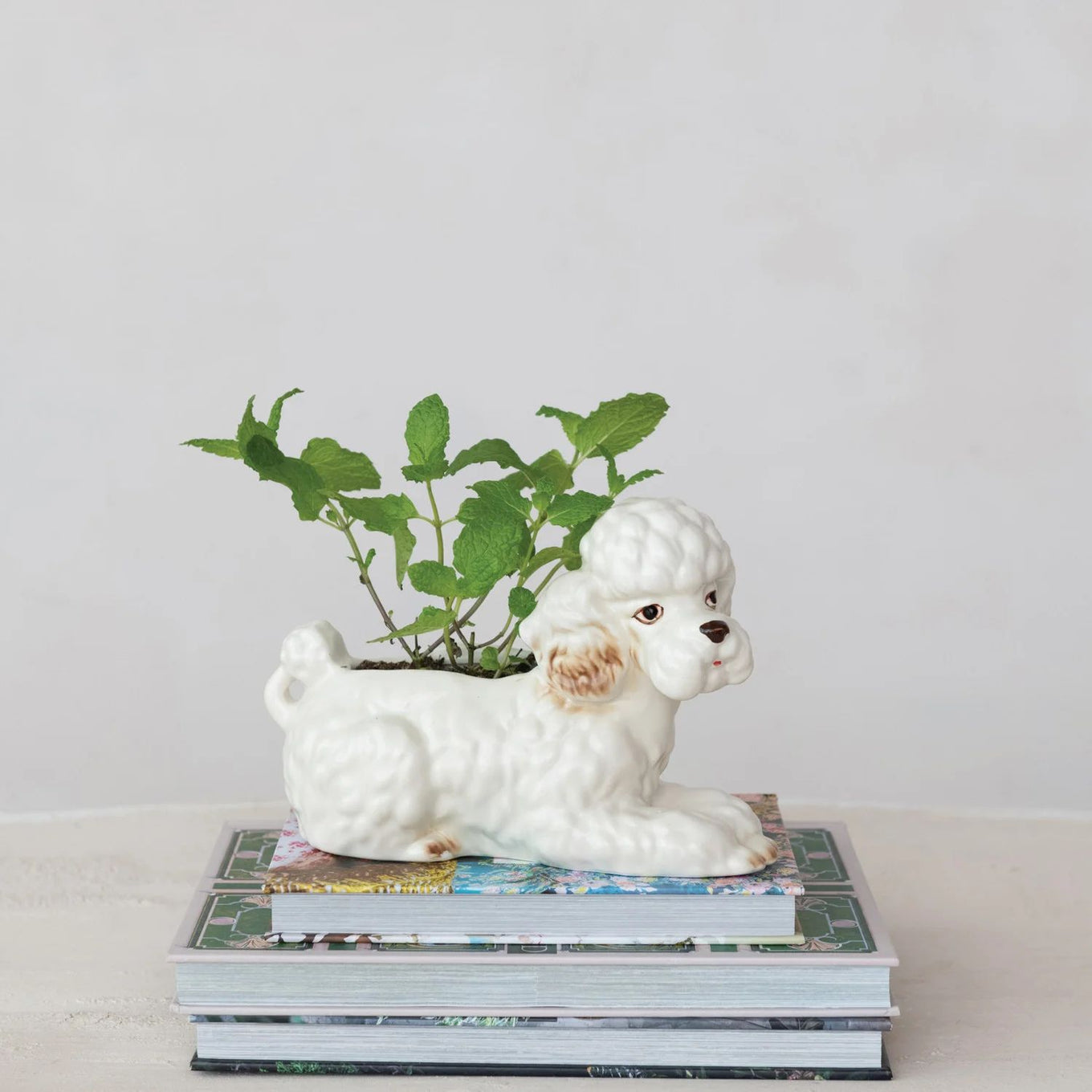 Hand-painted stoneware poodle planter with vintage reproduction design in white, brown, and black