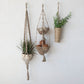 Three hanging planters on a white wall