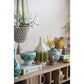 Decorative items on a wooden shelf including vases, books, and a plant.