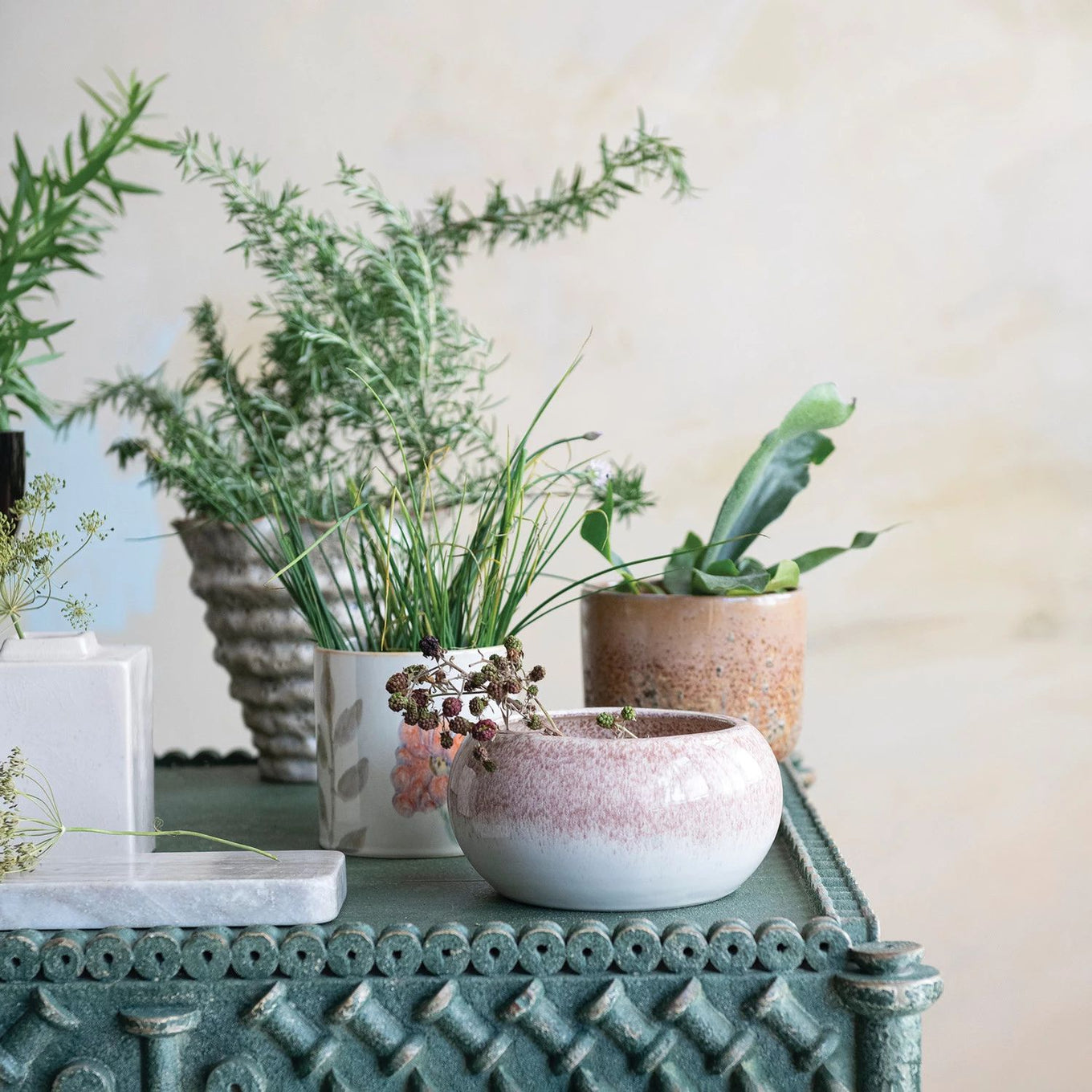 Collection of potted plants on a decorative table with a neutral background