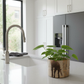 Modern kitchen with a plant on the counter