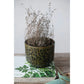 Decorative pot with dried plants on a wooden surface