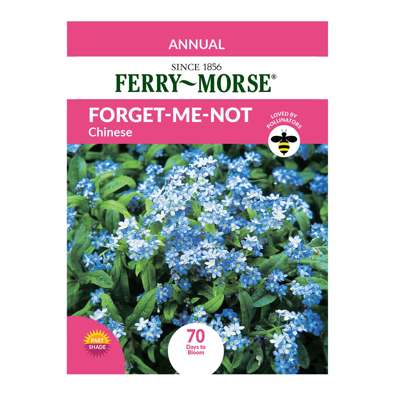 Forget Me Not Annual Seeds from Ferry-Morse Seeds