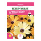 African Daisy, Mixed Colors Seeds
