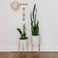 Two potted plants on stands with a wall hanging in the background