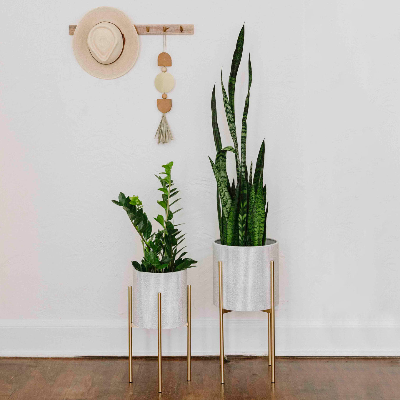 Two potted plants on stands with a wall hanging in the background