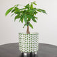 Green & White Footed Stoneware Planter with Abstract Print