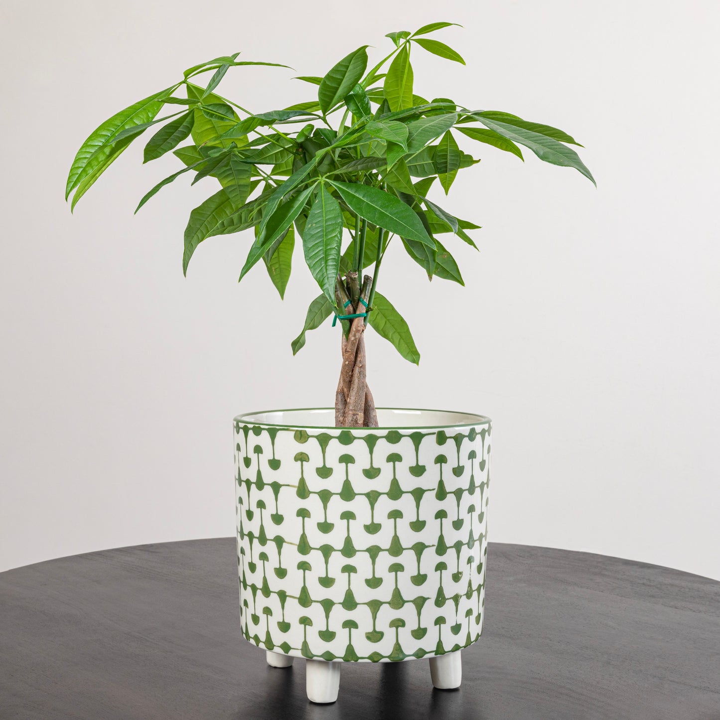 Green & White Footed Stoneware Planter with Abstract Print