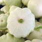 Early White Bush Scallop Squash Seeds from Ferry Morse Home Gardening_White Summer Squash Fully Mature Closeup Photo