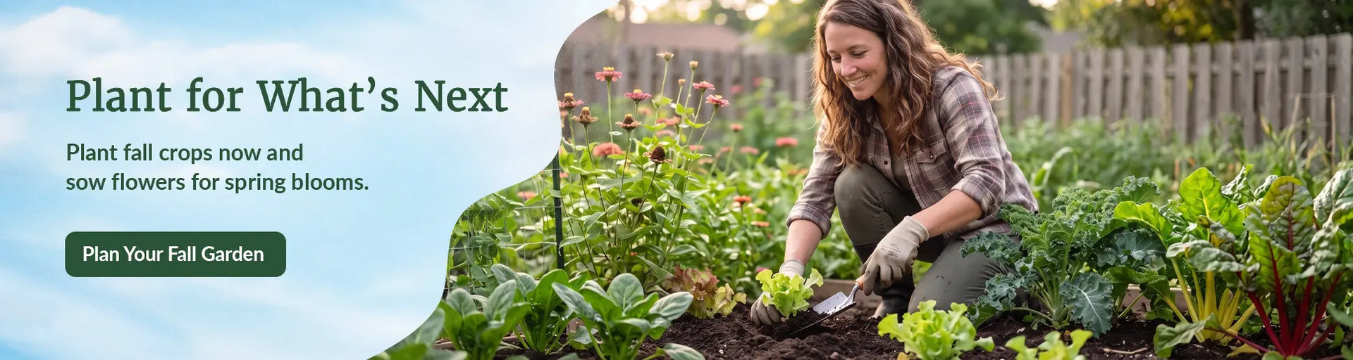 Woman kneeling in garden planting iceberg lettuce with zinnias and peas nearby.
