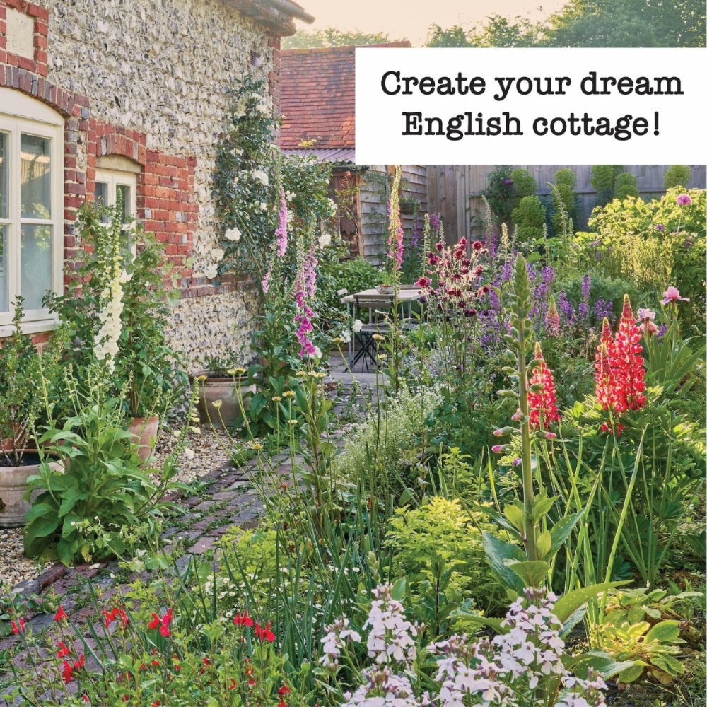 grapeseed English リーディング　フォニックス Knee-High Wildflower Mix - Bulk Wildflower Seeds for Vibrant
