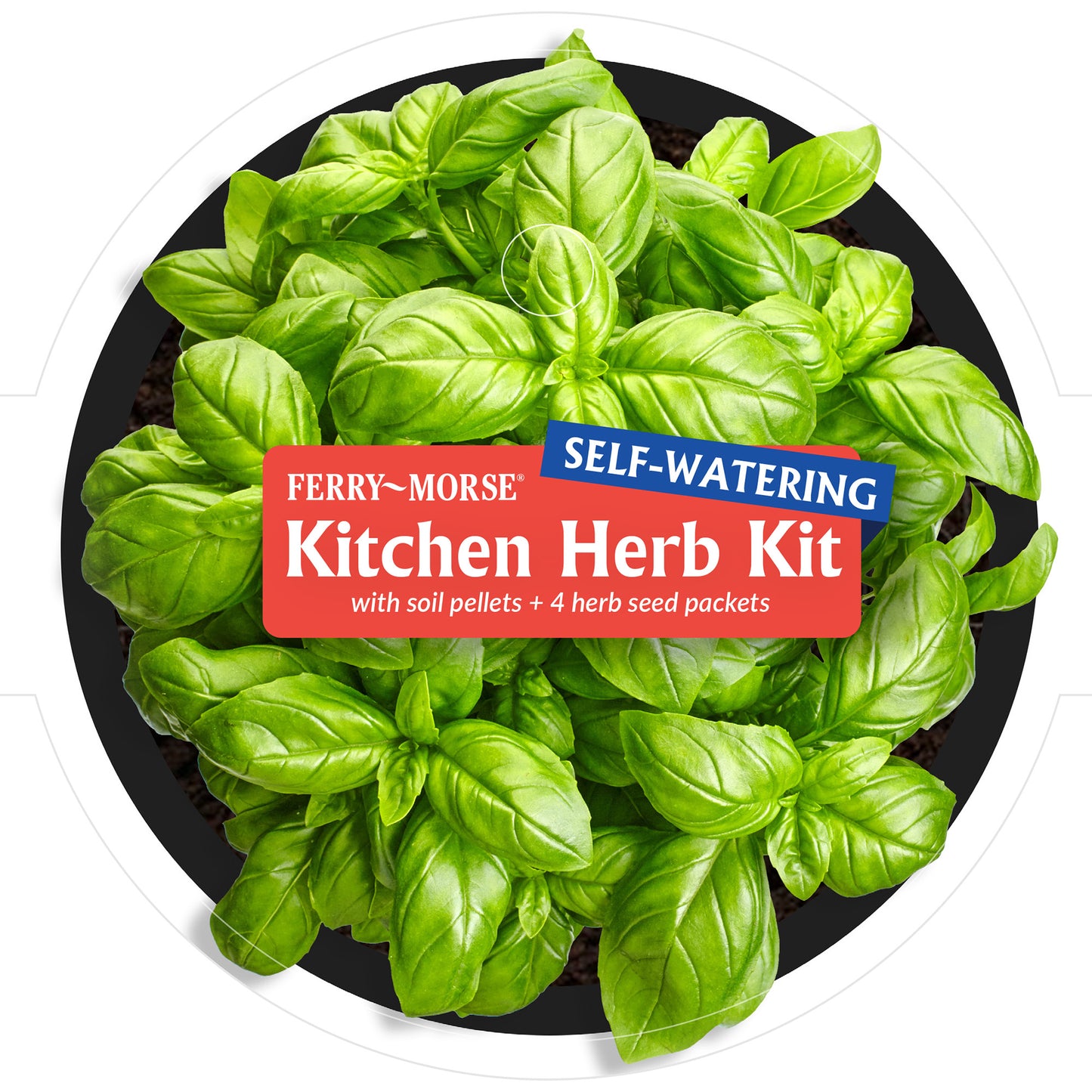 Kitchen Herb Kit with 7" Self Watering Planter