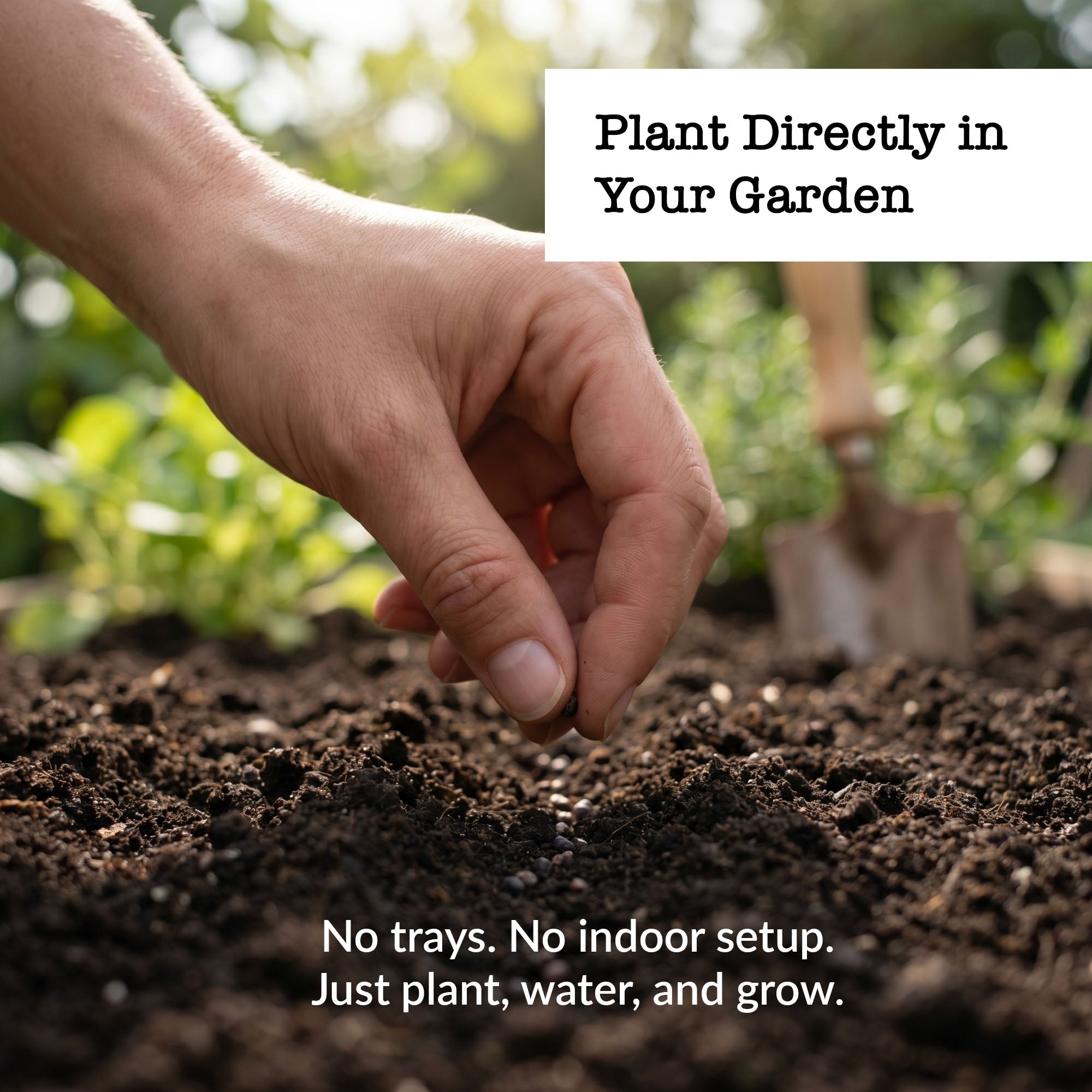 Hand planting seed in garden with call out 