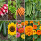 Ten flowers and vegetables in a grid 