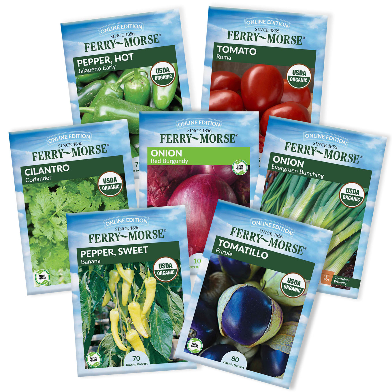 Collection of Ferry-Morse seed packets for various vegetables on a white background