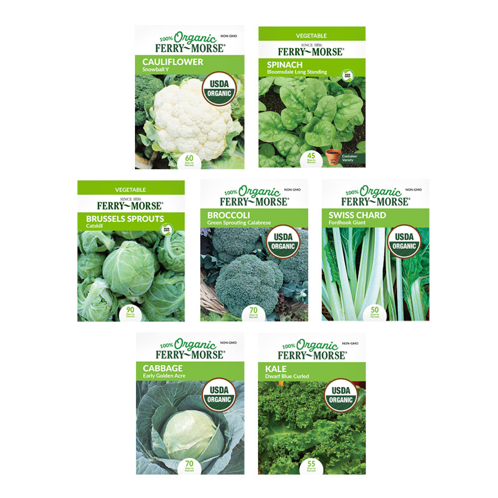 Cold Hardy Vegetable Seed Bundle (7 Pack)