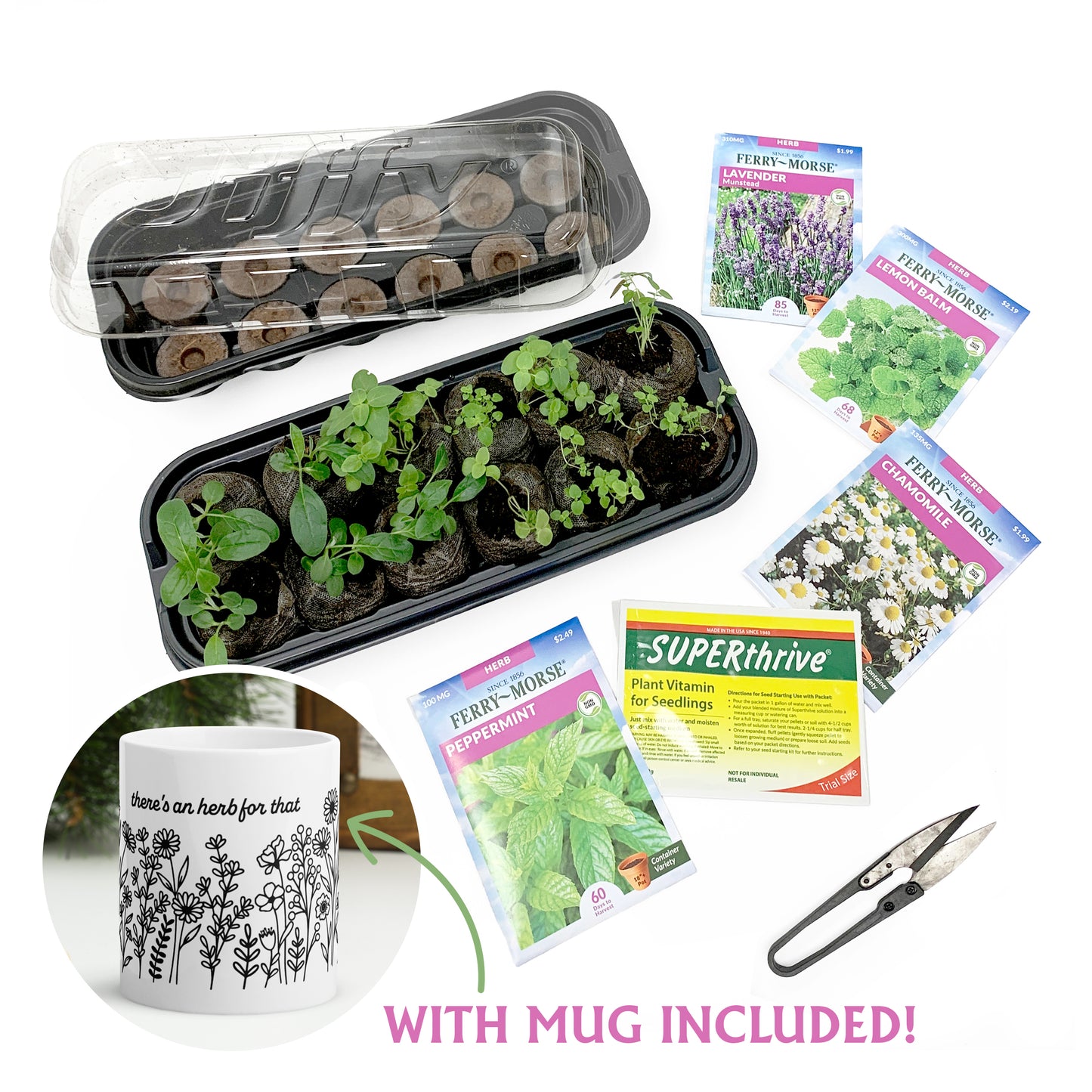 Grow Your Own Tea Herb Kit with Mug