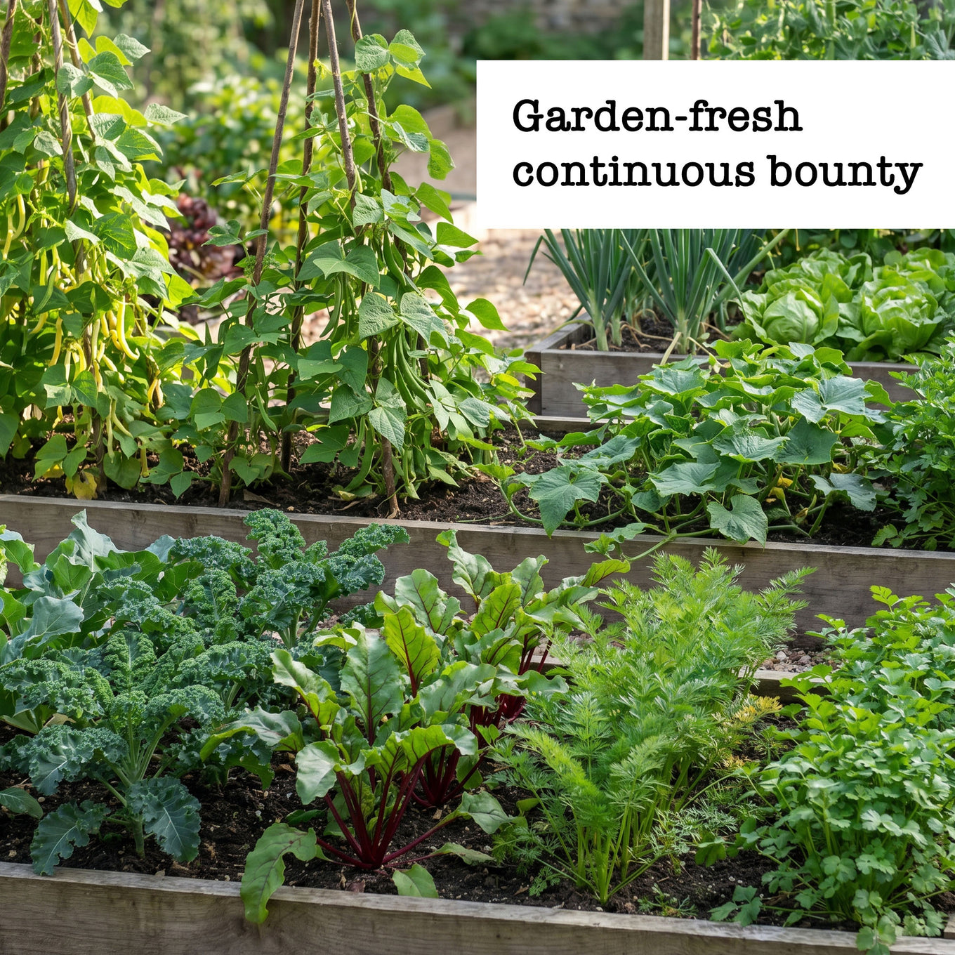 Vegetable garden with various plants and text 'Garden-fresh continuous bounty' above.