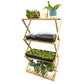 Four-tiered metal plant stand with various plants and gardening supplies on a white background