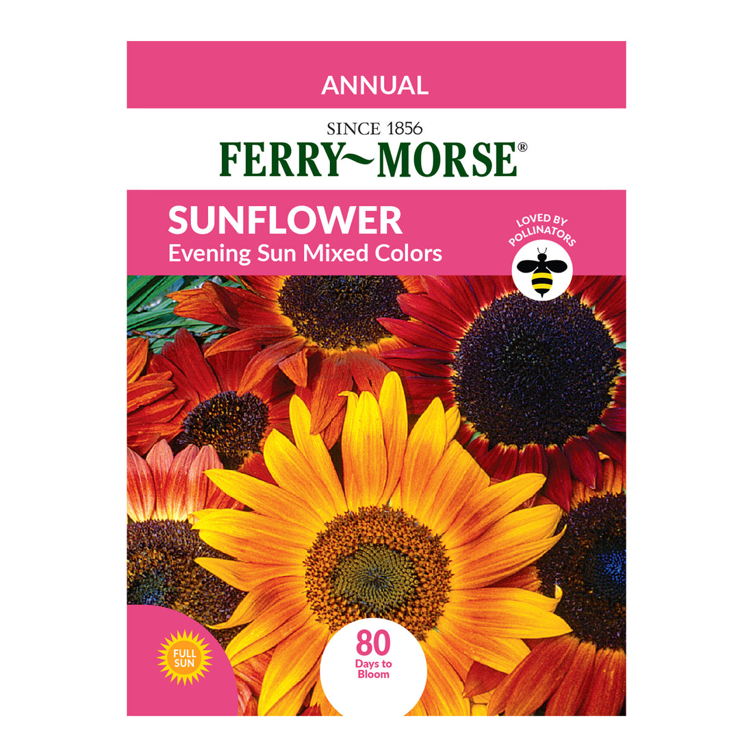 Sunflower, Evening Sun Mixed Colors Seeds | Easy To Grow Annuals ...