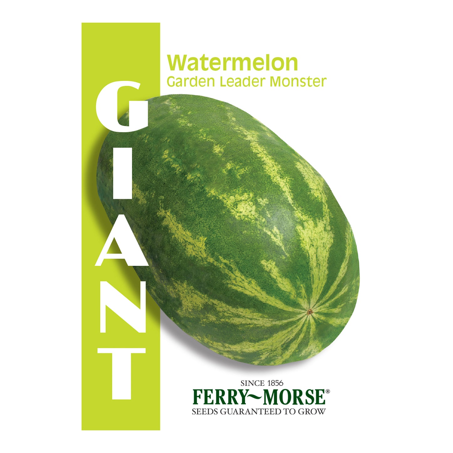 Watermelon, Garden Leader Monster Seeds