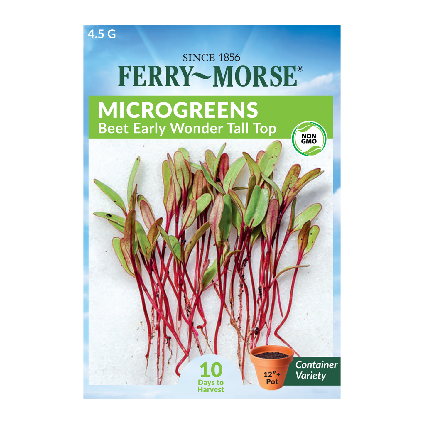 Microgreens Mild Flavor Seed Bundle (4 Pack)