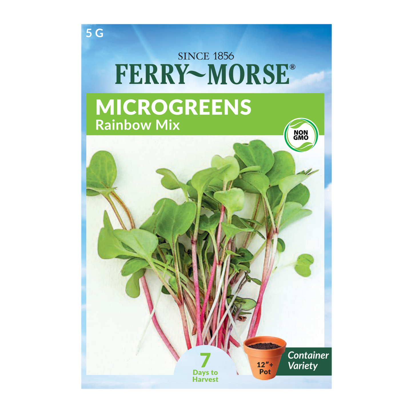 Microgreens Spicy Flavor Seed Bundle, 8 Pack