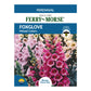 Foxglove, Mixed Colors Seeds