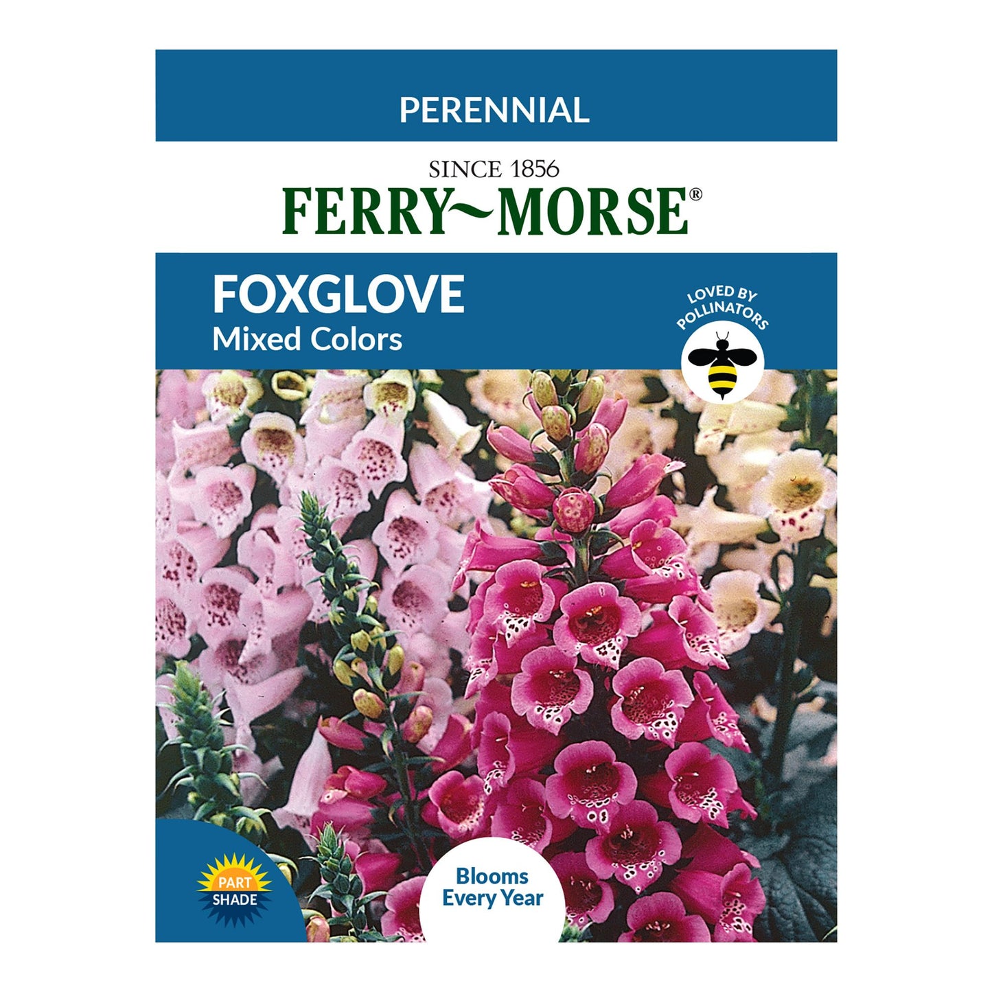 Foxglove, Mixed Colors Seeds