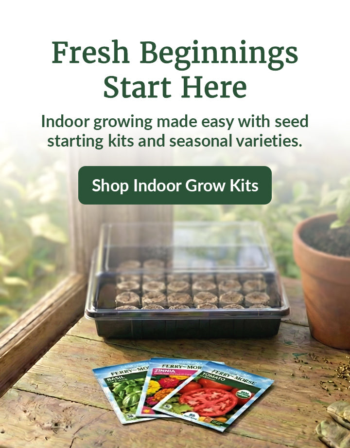 Illustrated holiday banner with hand-drawn garden tools, plants, flowers, and wrapped gifts surrounding the headline “Plant Joy This Holiday Season.” A green button below reads “Click Here to Shop Holiday Gifts for Gardeners."