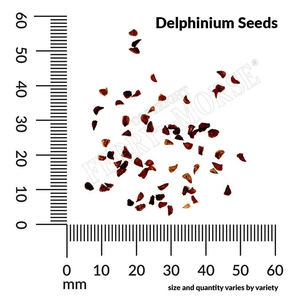 Delphinium, Pacific Giants Mixed Colors Seeds