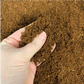 Jiffy Seed Starting Mix, Compressed 100% Coco Coir Soil Expands to 10QT