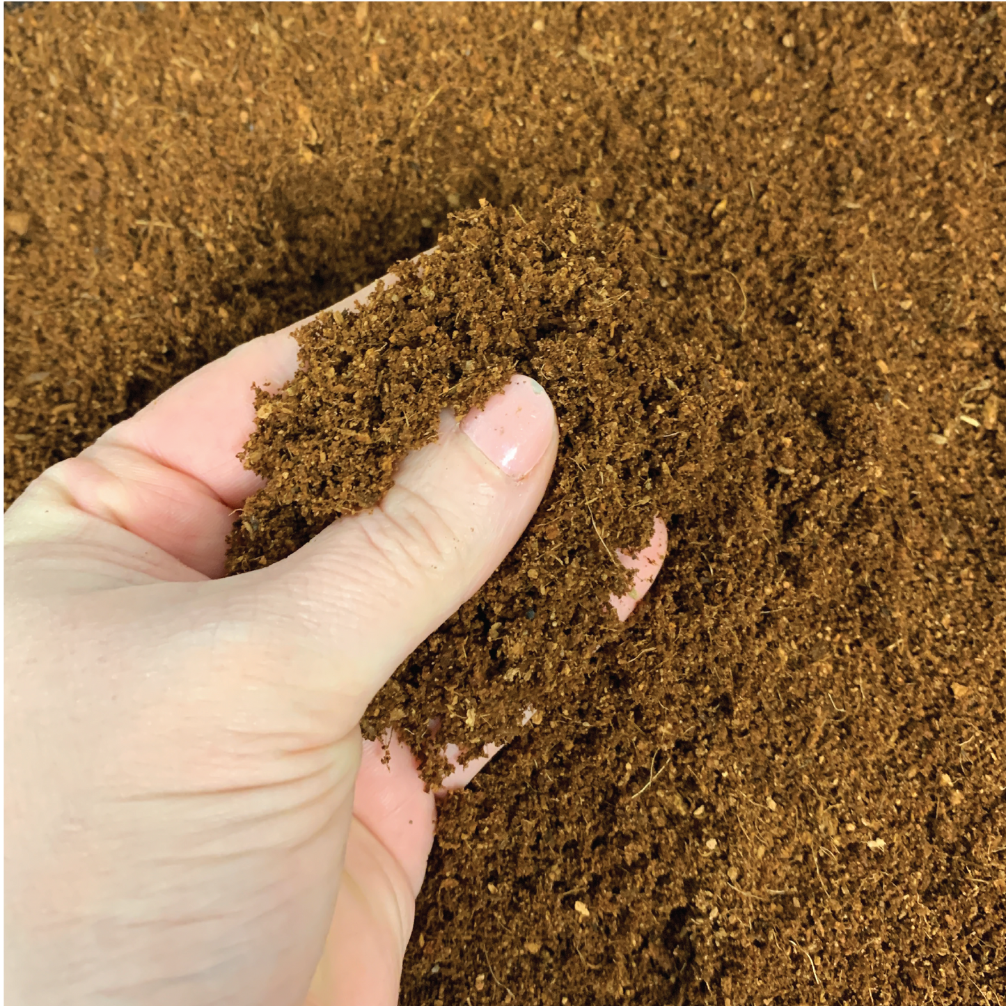 Seed Starting Coco Coir Soil Mix, Compressed Expands to 10 QT