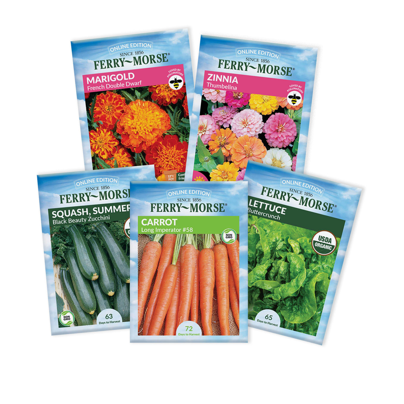 Five Ferry-Morse seed packets for marigold, zinnia, squash, carrot, and lettuce on a white background.