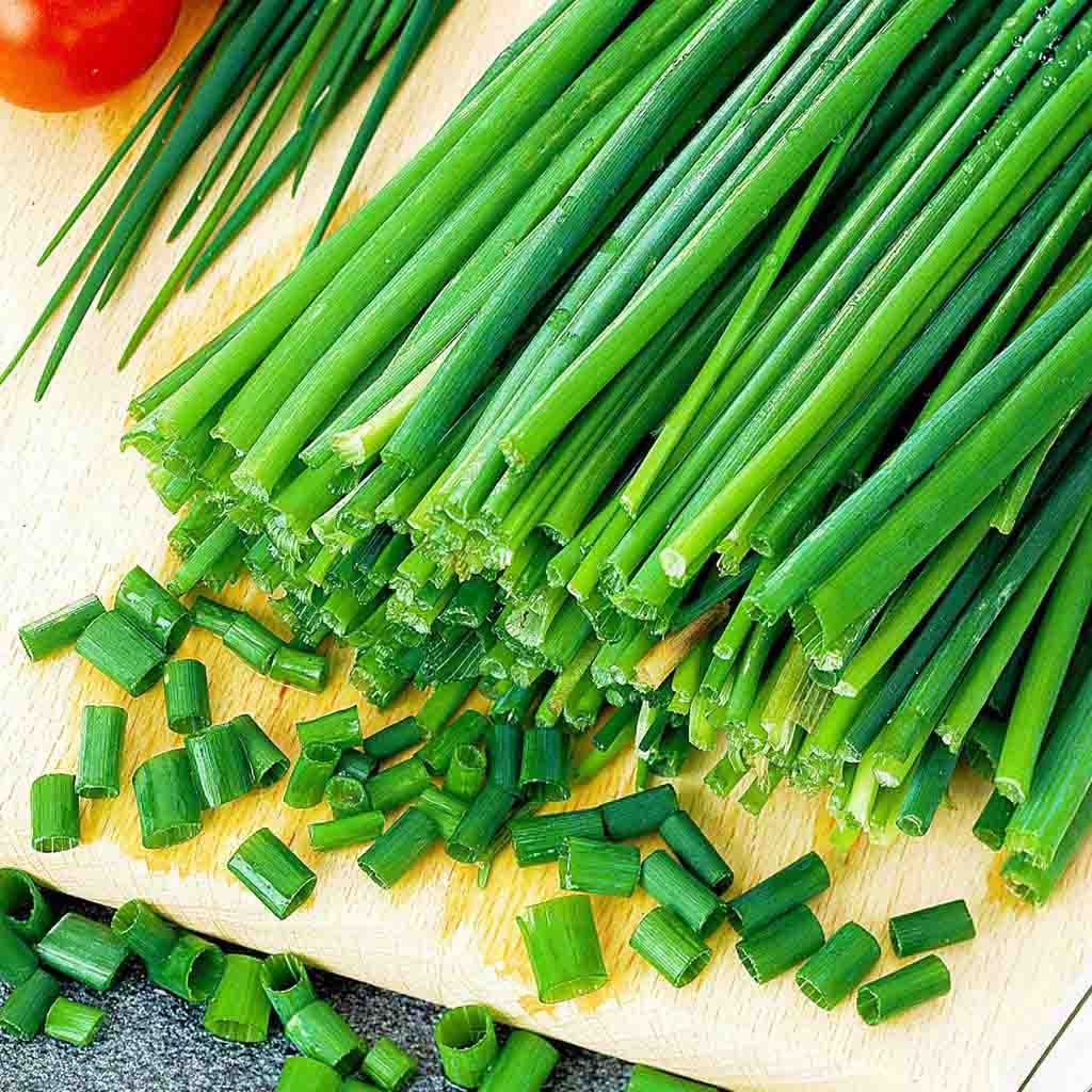 Buy Garlic Chives seeds! Ferry Morse Chives Garlic fully mature and harvested.