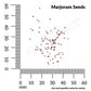 Sweet Marjoram Organic Seeds Online Edition