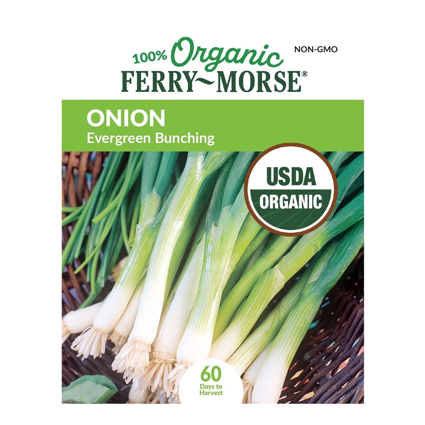 Onion, Evergreen Bunching Organic Seeds