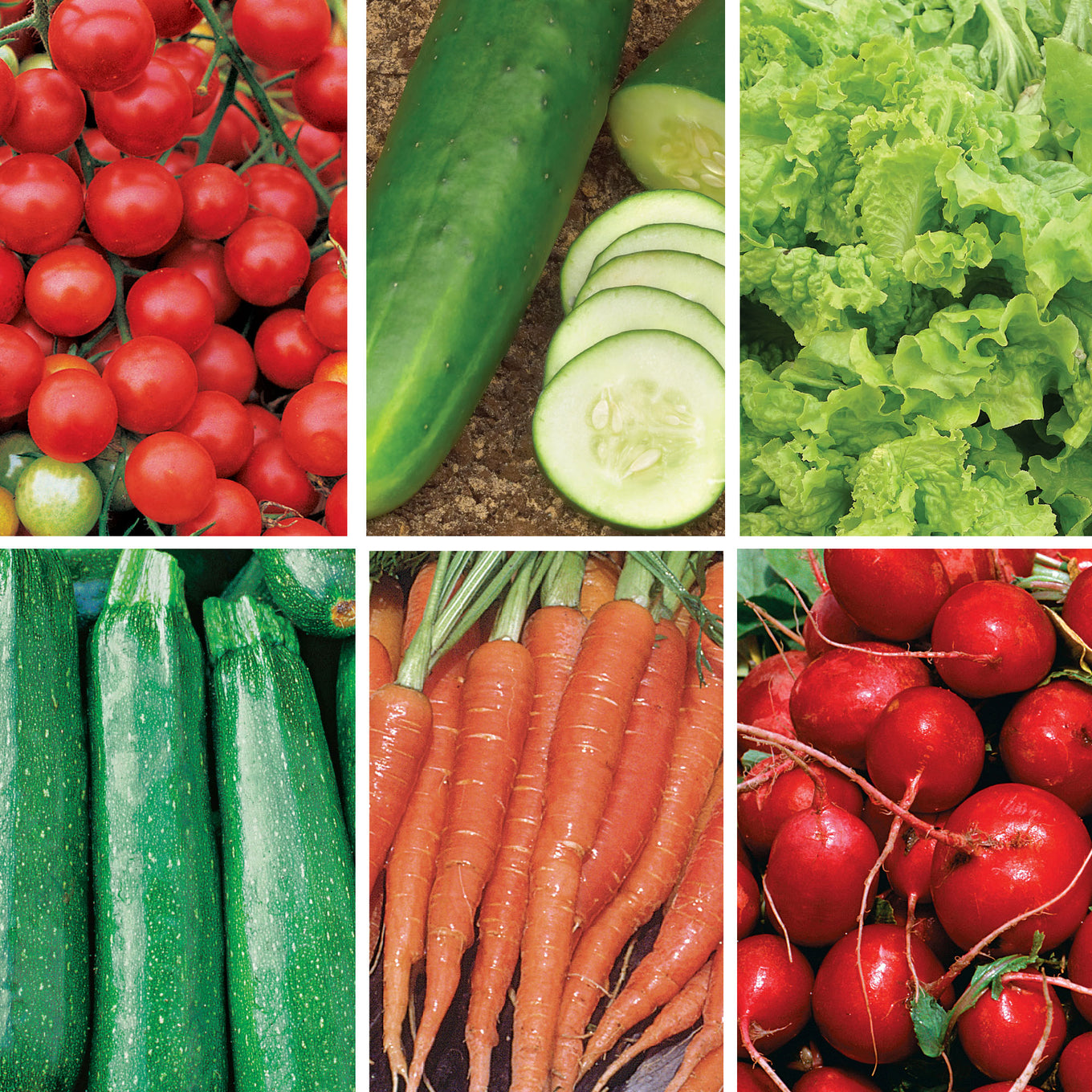 Collage of various vegetables including tomatoes, cucumbers, lettuce, zucchinis, carrots, and radishes.