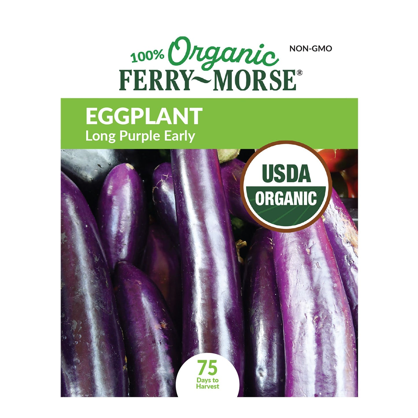 Eggplant, Long Purple Early Organic Seeds
