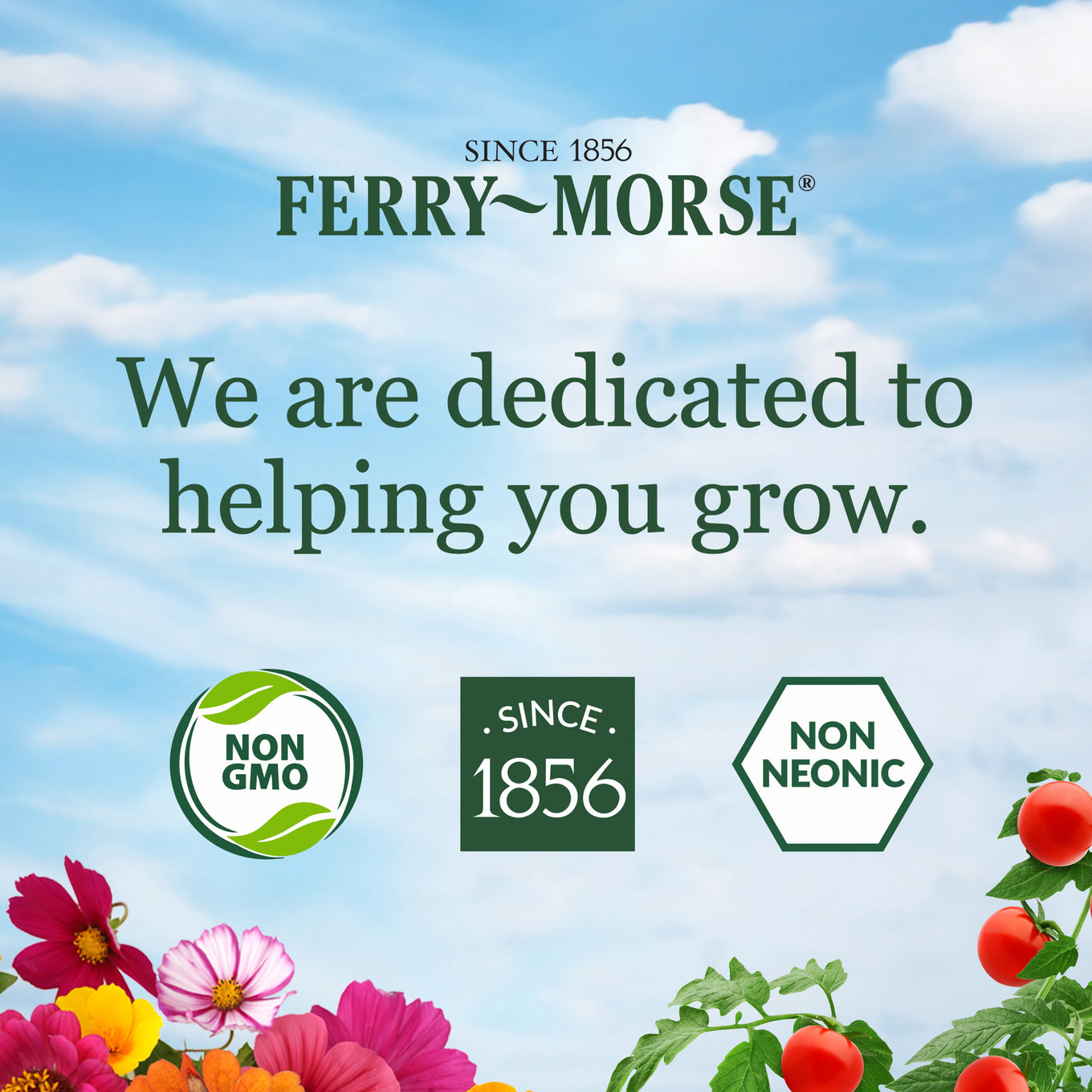 Ferry-Morse advertisement with flowers and plants against a blue sky background