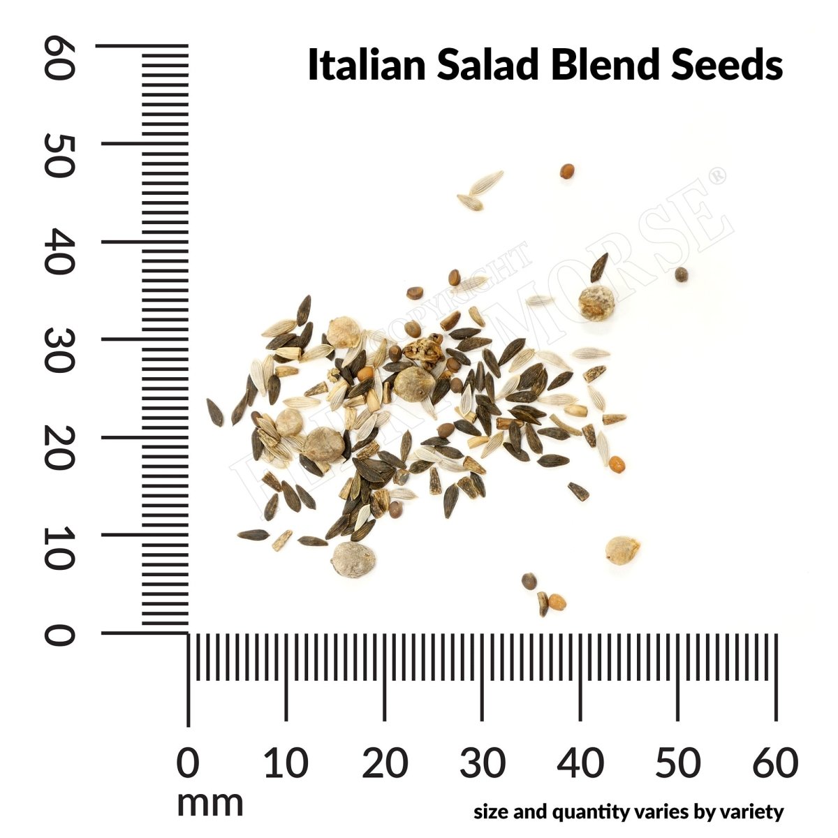 wildflower seed identification chart Ferry-Morse Italian Salad Blend Seeds 1.8 Gram(s)