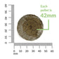 Jiffy Seed Starting Kit, 50 Cell 42mm Peat Pellets