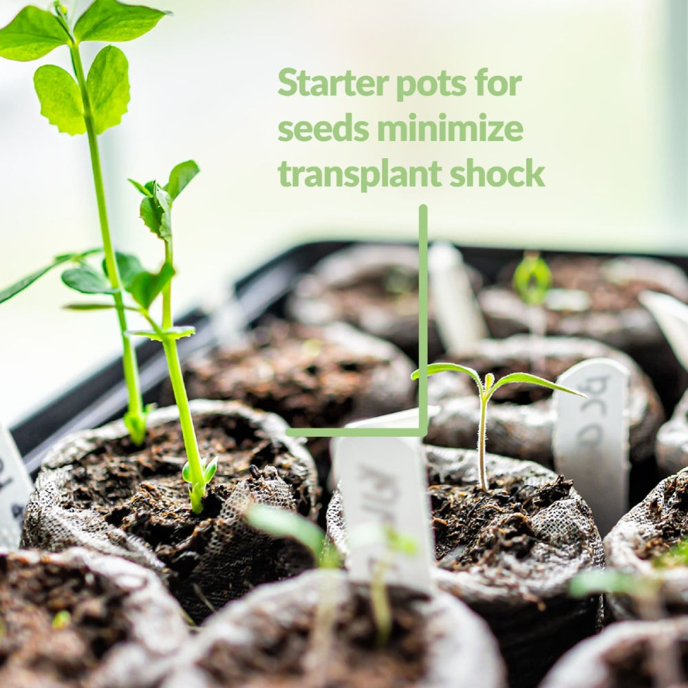 seed planting pellets Jiffy Seed Starting Kit, 50 Cell 42mm Peat Pellets