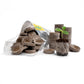 Jiffy brand peat pellets designed for seed starting.