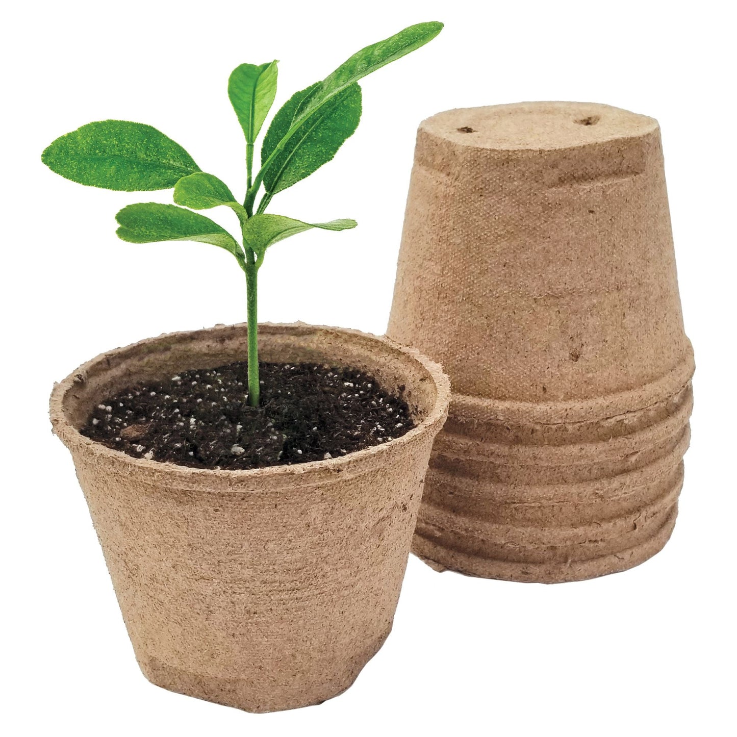 Jiffy-Pots, 5 inch Peat Pots