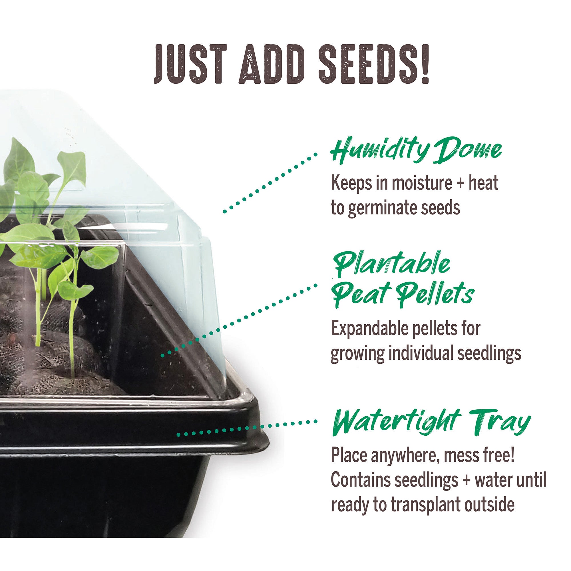 Jiffy Seed Starting Kit, 72 Cell 36mm Peat Pellets with Bonus