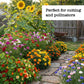 Flower garden in bloom with call out Perfect for cutting and pollinators