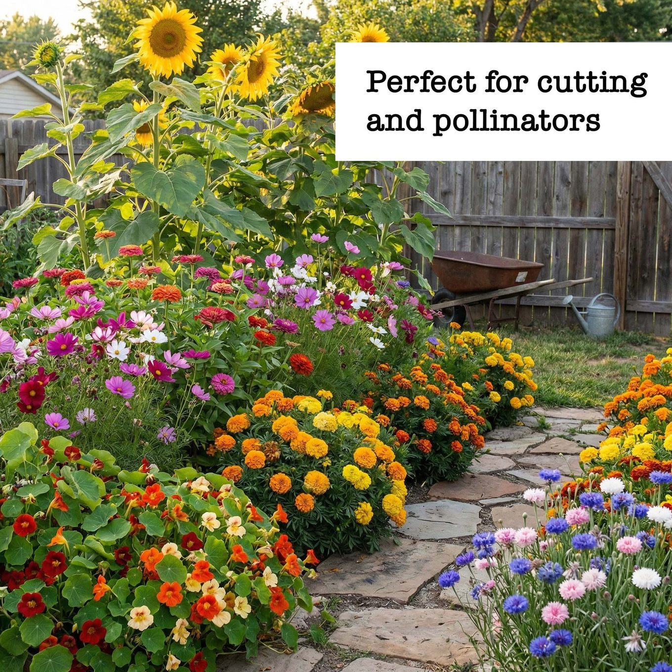 Flower garden in bloom with call out Perfect for cutting and pollinators